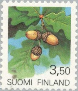Quercus robur Finland