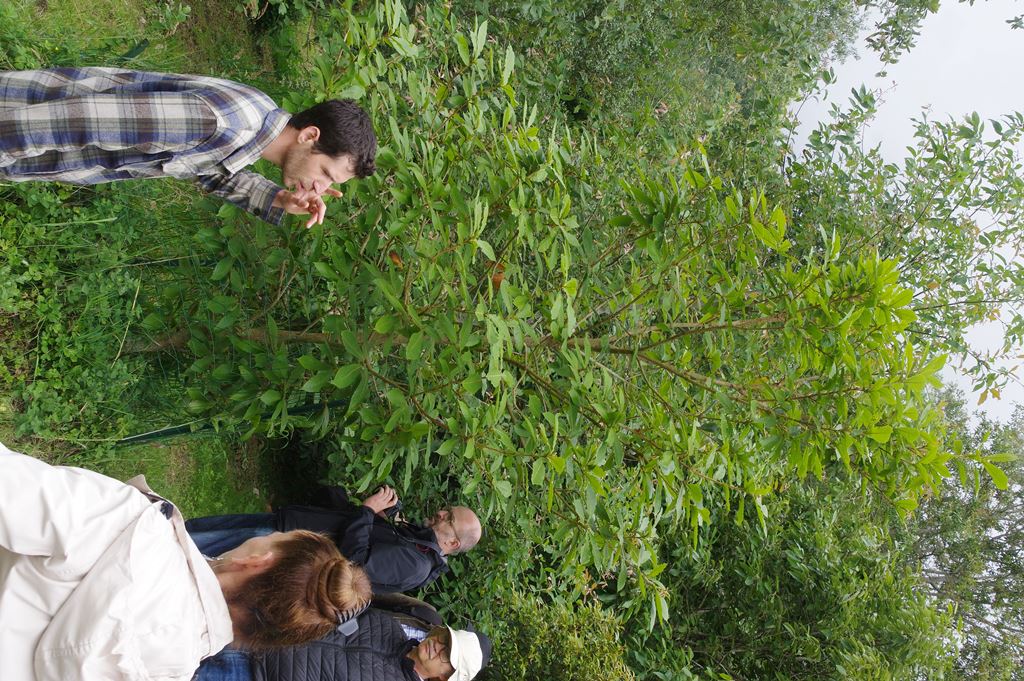 Michel de Broglie with Q. insignis