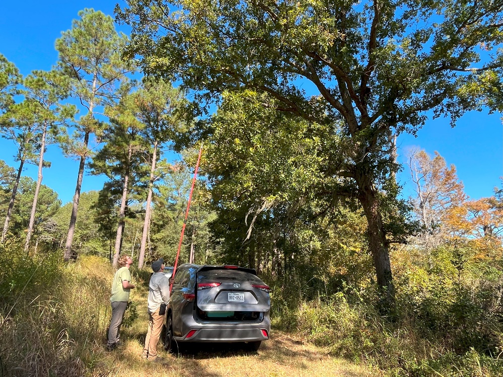 Connor and Ron reaching for acorns