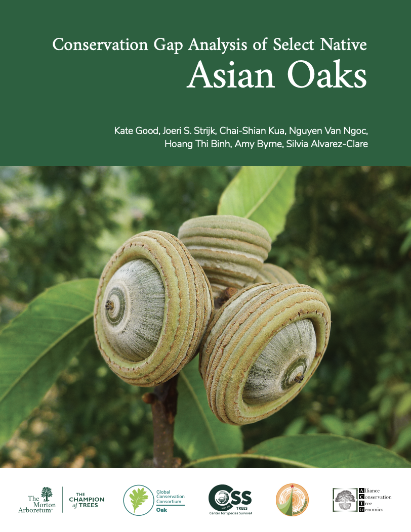 Cover of the report