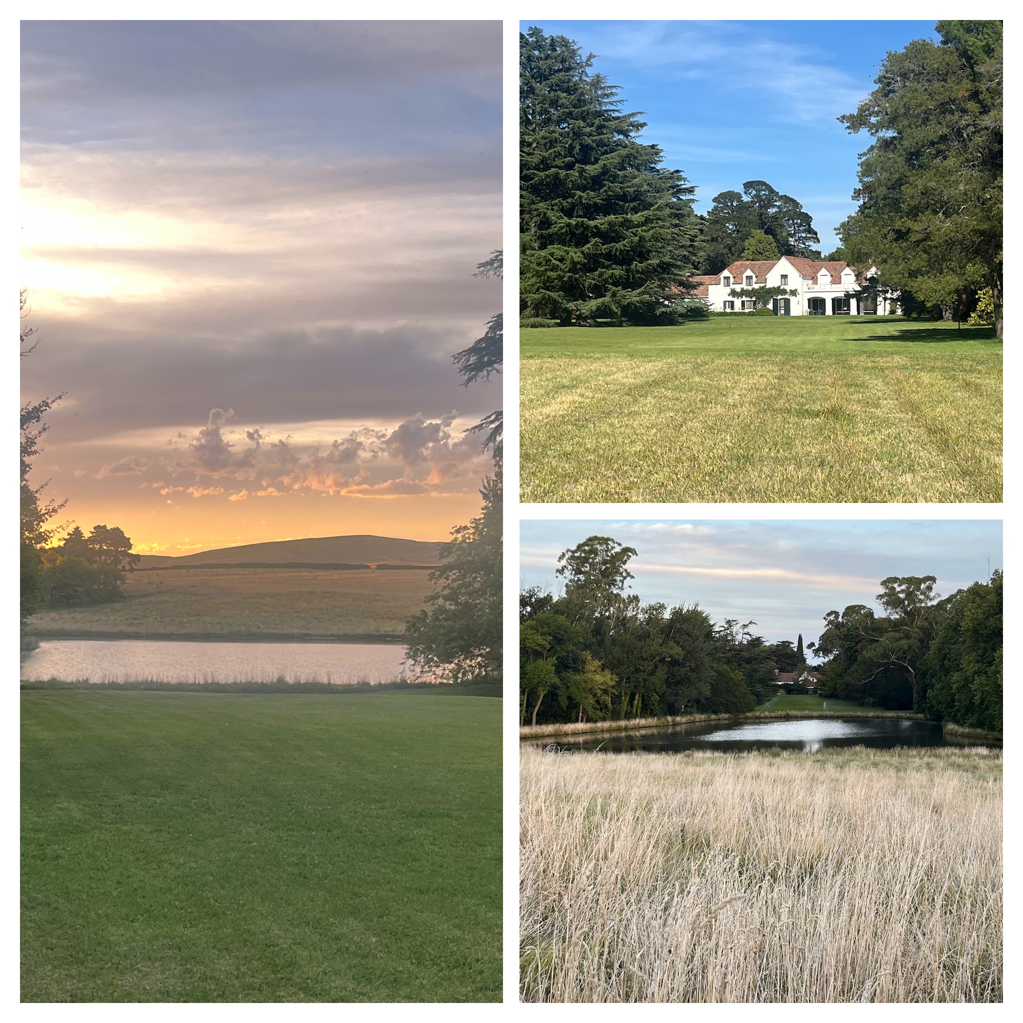 Views of San Miguel Arboretum