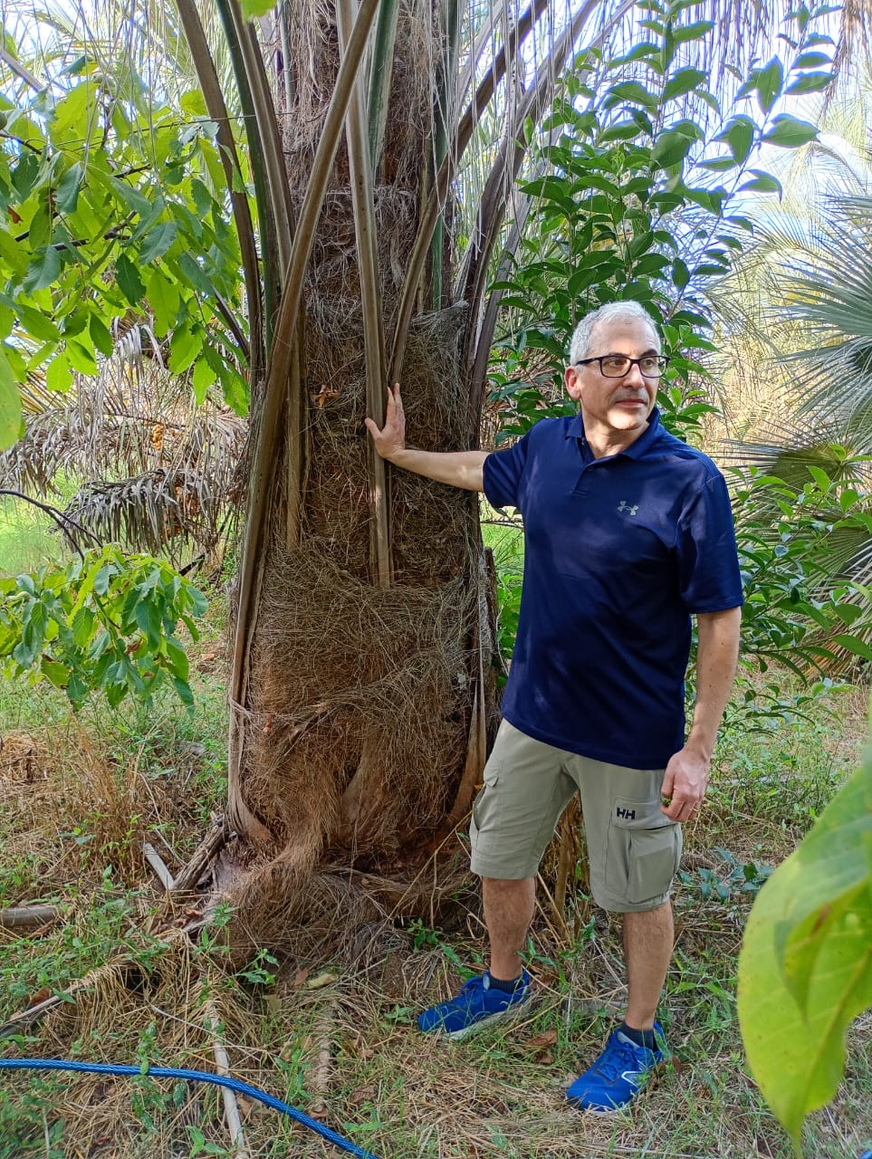 Author and Parajubea torallyi
