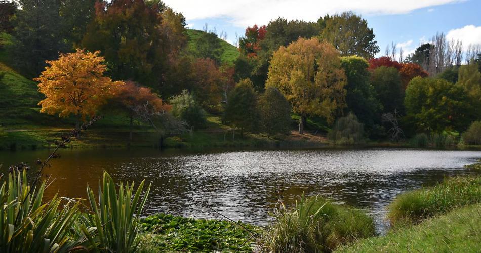 Lake Karangata, Hackfalls Arboretum