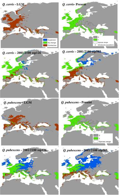 Modeled distributions of transition-zone species (Quercus cerris and Quercus pubescens) under climatic conditions of the Last Gl