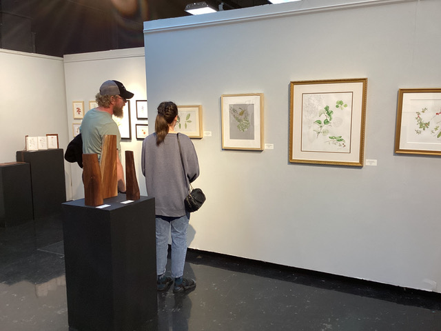  This couple is at the exhibit and is looking at the leaves of an oak that was presumed extinct.
