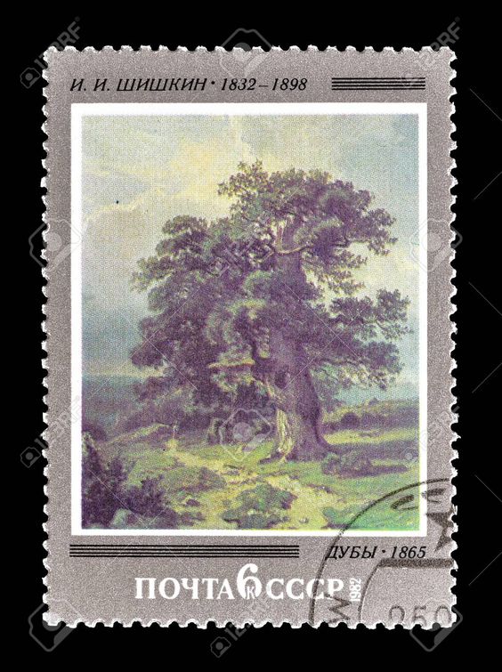 Quercus robur USSR