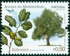 Quercus suber Portugal