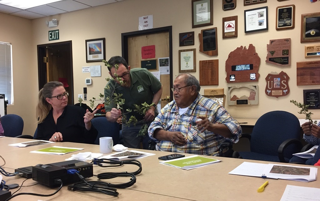FS Staff discusses Emory oak with Apache Elder Vincent 