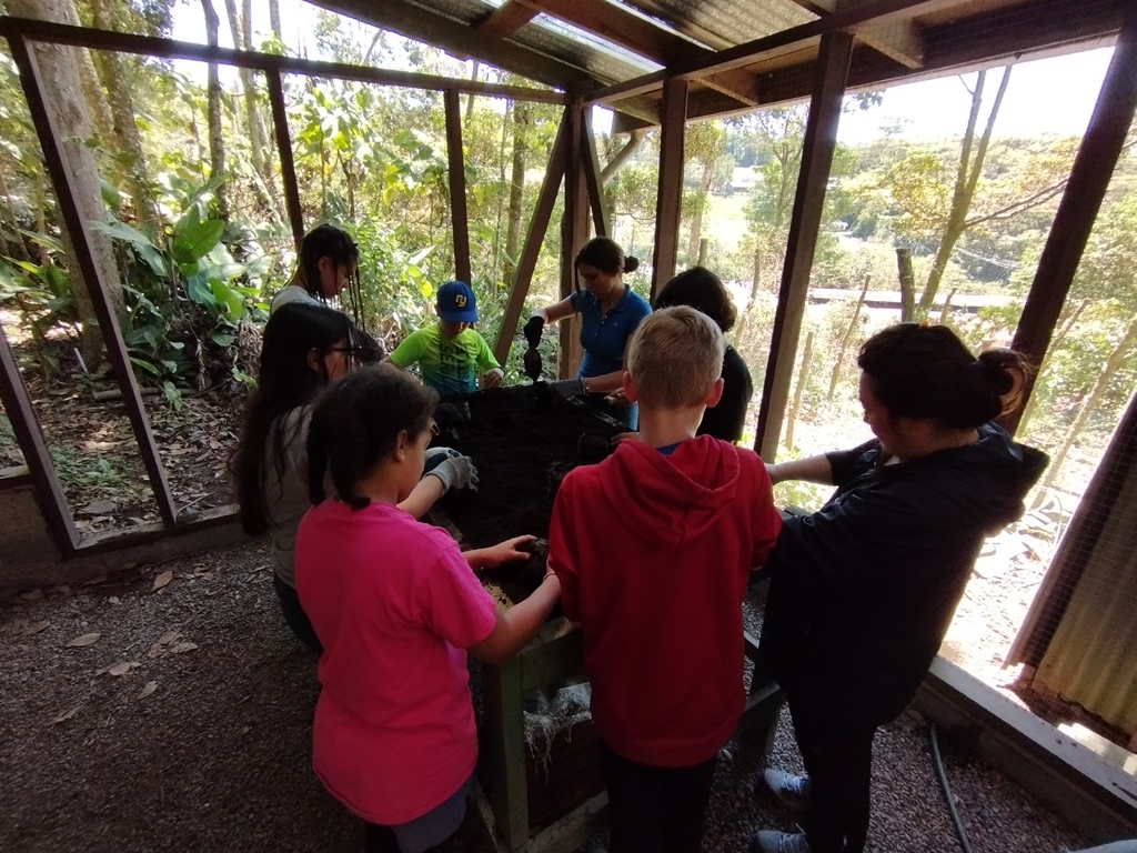 Children actively learning about tree conservation by participating in daily tasks at the tree nursery, such as filling bags with soil to plant new seedlings.Irene González Chen, Communications Coordinator at MVI.