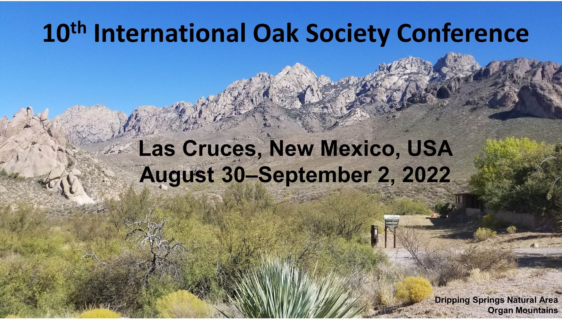 Organ Mountains with banner
