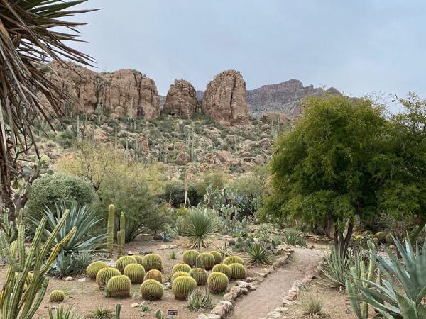 Cactus and Succulents Garden, Boyce Thompson Arboretum Cactus and Succulents Garden, Boyce Thompson Arboretum