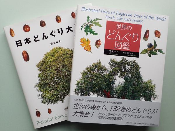Keiko Tokunaga's second book