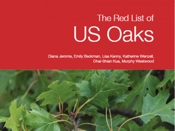 US Red List Oaks
