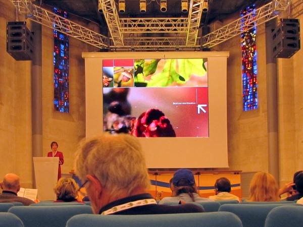 30/09/12. Opening Ceremony. Espace Agora du Haut Carré, Université de Bordeaux. Photo: G. Sternberg.