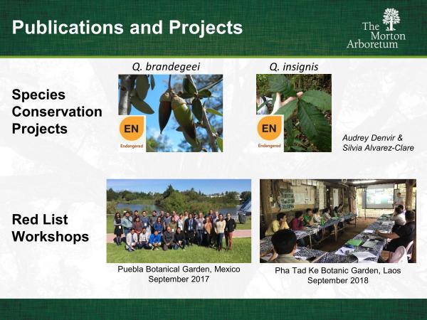 slide11.jpg