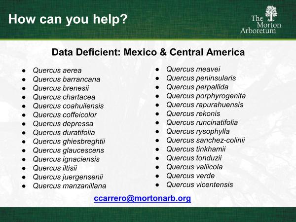 slide14.jpg