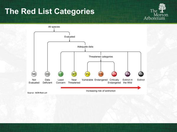 slide3.jpg