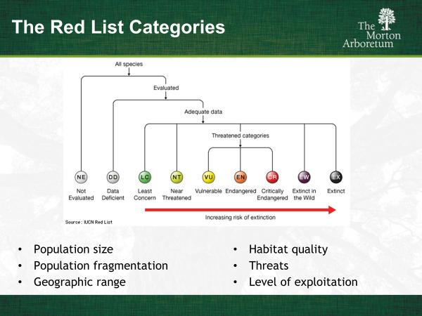 slide4.jpg