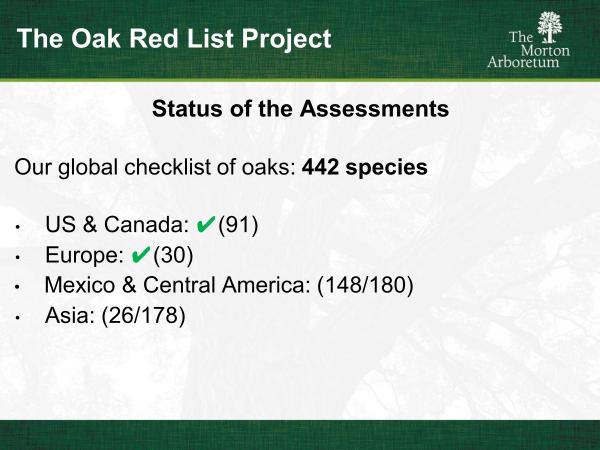 slide6.jpg
