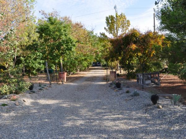 06/10/12. Arboretum de la Bergerette. Photo: C. Snyers d'Attenhoven.