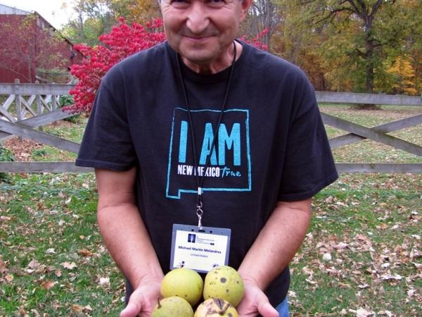 Mike Melendrez and Juglans nigra nuts, Fernwood Gardens - Photo: G. Sternberg