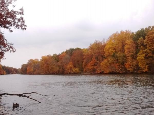 St. Joseph River, Fernwood Botanical Gardens - Photo: R. Cameron