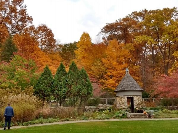 Fernwood Botanical Garden - Photo: R. Cameron