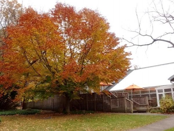 Fernwood Botanical Garden - Photo: R. Cameron