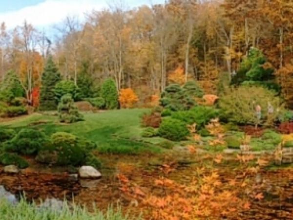 Taltree Arboretum - Photo: R. Cameron