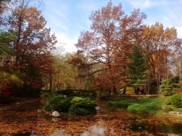 Taltree Arboretum - Photo: R. Cameron