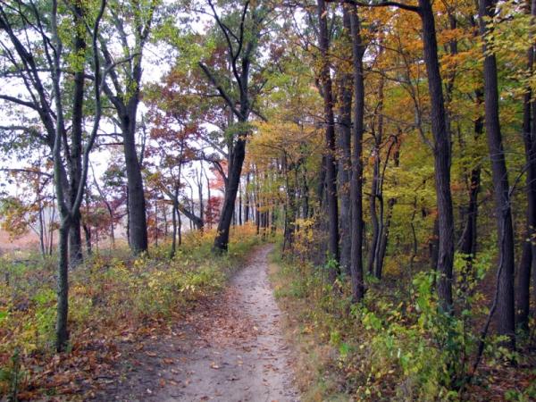 Cowles Bog, Indiana Dunes National Lakeshore - Photo: G. Sternberg