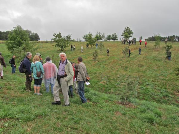 07/10/12. Arboretum des Pouyouleix. Photo: M.P. Thuaud.