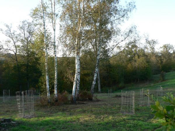 07/10/12. Arboretum des Pouyouleix. New plantations. Photo: M.P. Thuaud.