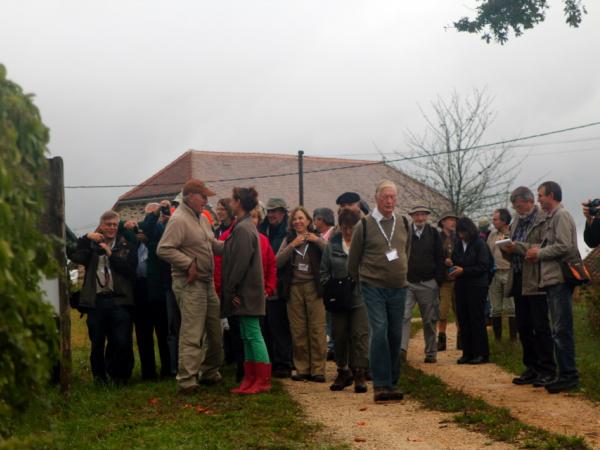 07/10/12. Arboretum des Pouyouleix. Photo: M.P. Thuaud.