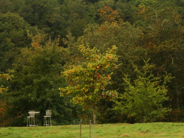 07/10/12. Arboretum des Pouyouleix. Quercus bicolor Willd. Photo: M.P. Thuaud.