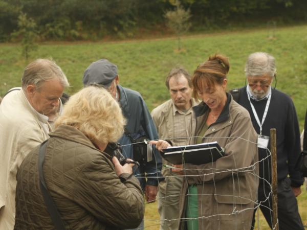 07/10/12. Arboretum des Pouyouleix. Quercus sp? Photo: M.P. Thuaud.