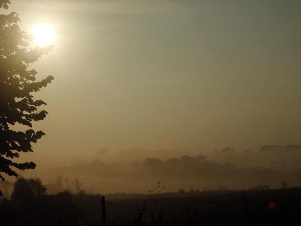 07/10/12. Sunrise over the Arboretum on this cloudy day. Photo: M.P. Thuaud.