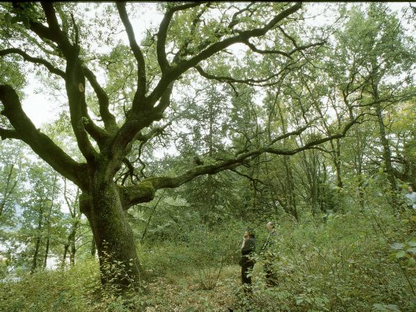 Chateau Arnoux, Alpes-de-Haute-Provence