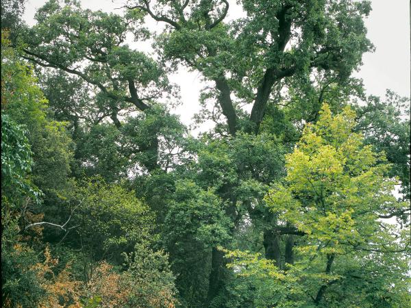 Chateau Arnoux, Alpes-de-Haute-Provence