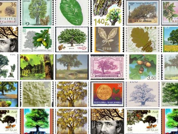stamp_collage.jpg