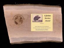 IOS Award Plaque IOS Award Plaque