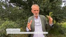 Past IOS President Allen Coombes, Curator of Scientific Collections at Puebla University Botanic Garden, discusses leaf variability in Quercus ceirpes (still image from the documentary)