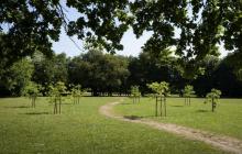 One of the first planted circles on Hampton Common, London, in partnership with Orleans House Gallery 2025. © Studio Ackroyd & Harvey One of the first planted circles on Hampton Common, London, in partnership with Orleans House Gallery 2025. © Studio Ackroyd & Harvey